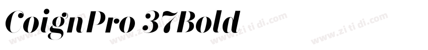 CoignPro 37Bold字体转换